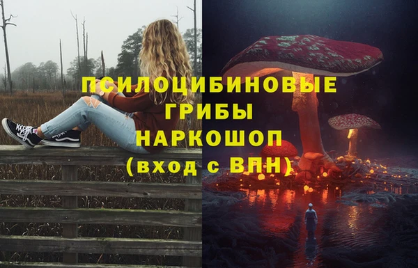 соль курить ск Арсеньев