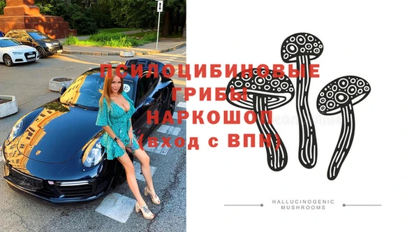соль ск Аркадак