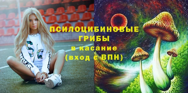 соль курить ск Арсеньев