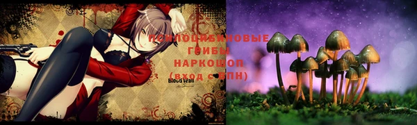 соль ск Аркадак